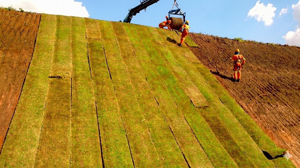 Revestimento Vegetal